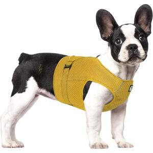 Dog Cooling Vest Harness Lightweight Cooler Jacket Sz Med w Adjustable Buckle